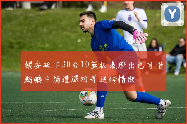 锡安砍下30分10篮板表现出色可惜鹈鹕主场遭遇对手逆转惜败